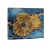 Wieco Art - Sunflowers Floral Giclee Canvas Prints Wall Art by Vincent Van Gogh Famous Oil Paintings Reproduction Modern Stretched and Framed Artwork Flowers Pictures for Bedroom Home Decorations