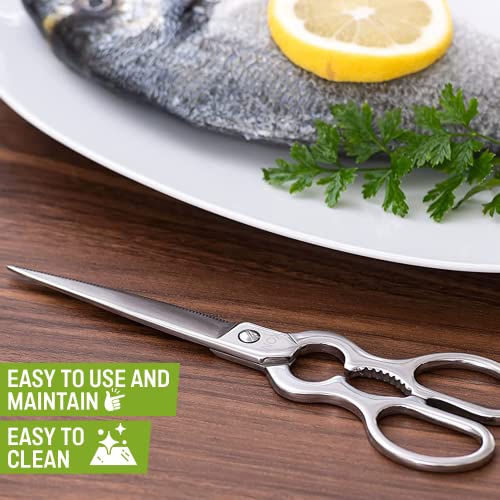 Foto von DITTO Edelstahl Fischschere Küchenschere - edle Schere als Zubehör für die Küche, ideal zum Filetieren von Fisch statt Fischmesser, Made in Portugal