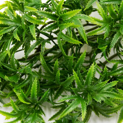 Terra Exotica Kunstpflanze Bambus/Cannabis/Weinrebe 30-60 cm - Hängepflanze für Terrarien - Terrariâ€¦ – Miniatur