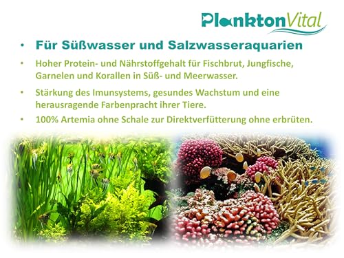 PlanktonVital Entkapselte Artemia-Eier 100ml / 60g – Premium Aufzuchtfutter für Jungfische & Wirbellose – 100% Natürlich, Hoher Proteingehalt, Sofort Verfütterbar – Für Süß- & Meerwasser-Aquarien