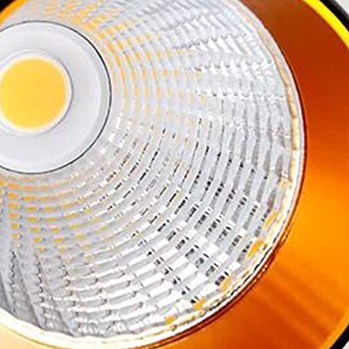 Lámpara colgante LED RAGGZZ luz cálida eficiente 5