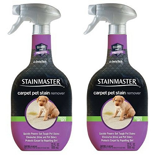 STAINMASTER Carpet Pet Stain & Odor Remover Cleaner, 22 Ounce (Pack of 2)