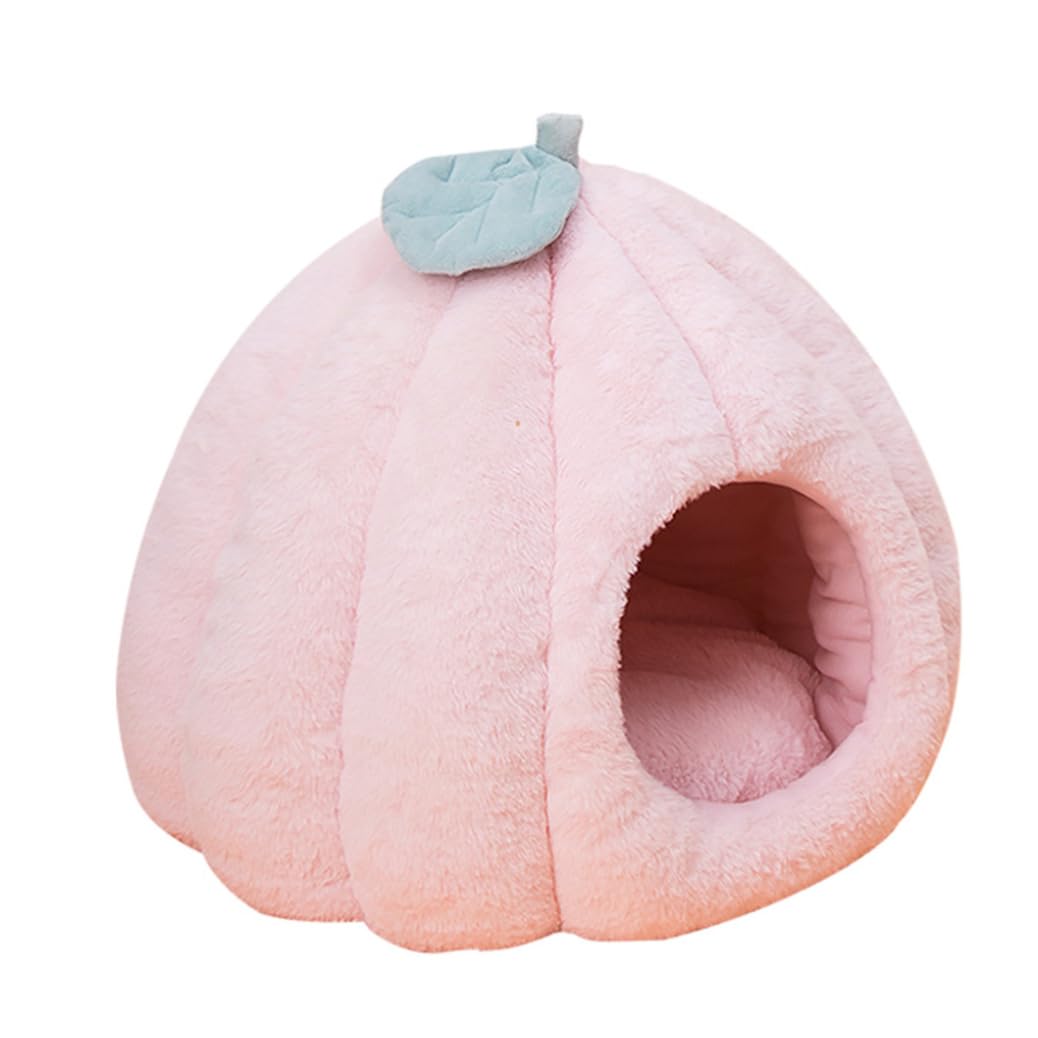 Niche d'intérieur pour chat citrouille lavable et rembourrée pour petit félin