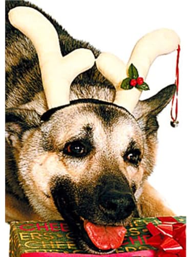 Disfraz Navidad Cuernos de Reno para Perro