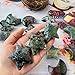 Natural Moss Agate Crystal Star Moon Shape Gemstones Crystal Carving Crafts Palm Stone Tumbled Polished Chakra Stone Worry Stone DIY Jewelry Making