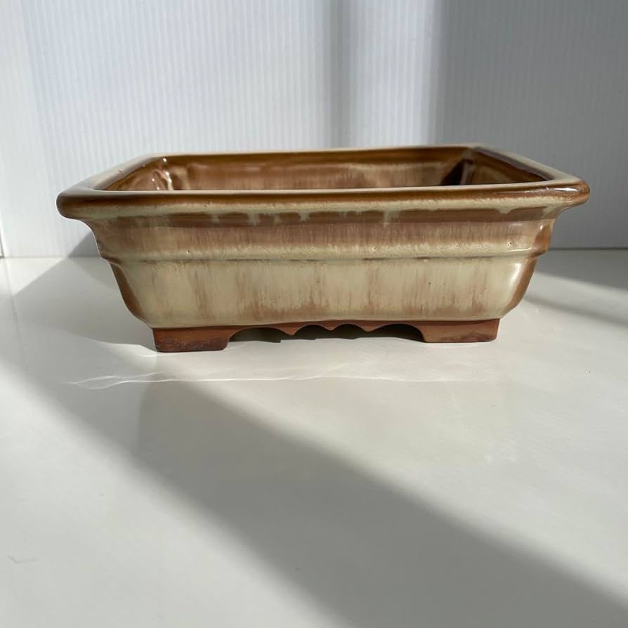 Amazon.co.jp: 盆栽鉢 落款 陶翠 : DIY・工具・ガーデン