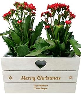 Hoolaroo Personalised Engraved Christmas Planter Plant Pot Lined Wooden Heart Vintage Any Message Neighbour Gift Teacher Present Xmas