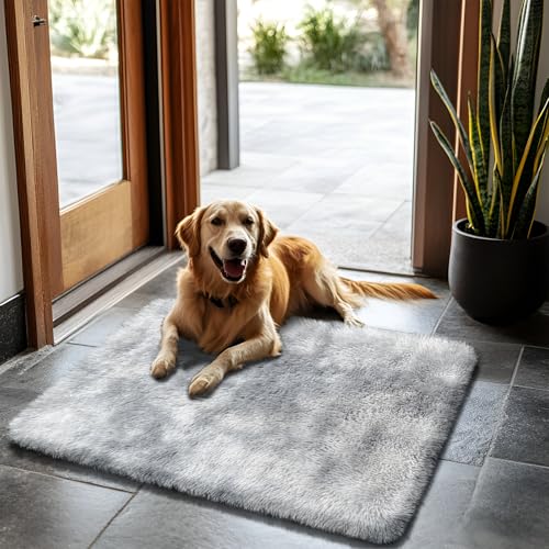 2x3 Fluffy Area Rugs for Bedroom Living Room,Small Soft Shag Fuzzy Rug Non-Shedding Indoor Plush Carpet for Kids Bedroom Nursery Dorm Home Decor,Tie-Dyed Grey