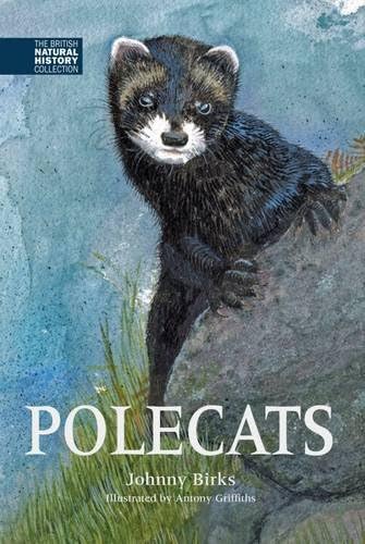 Polecats: 5 (The British Natural History Collection)