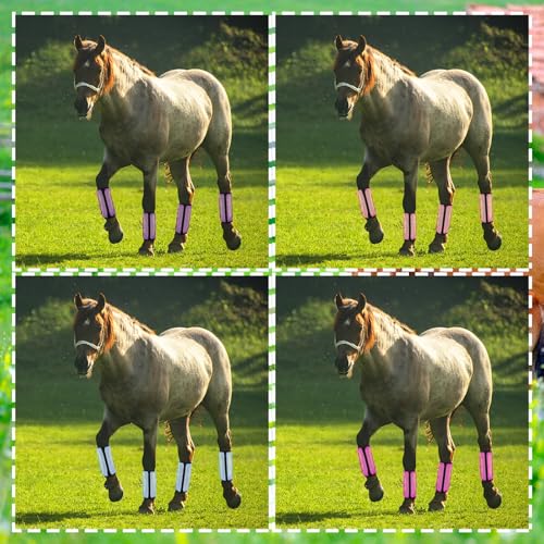 Image of Sanwuta 16pcs Horse Mesh Fly Boots Horse Fly Boots Fitting Non Slip Horse Fly Leggings Breathable Reduce Horsefly Nuisance Stomping and Stress(14 inch X 9 inch,Orange, Sky Blue, Rose, Purple)