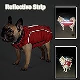 TFENG Reflektierend Hundejacke Brust 54-64cm, Rückenlänge 38cm Hundemantel Warm gepolstert Puffer Weste Welpen Regenmantel mit Fleece (Grün, L)