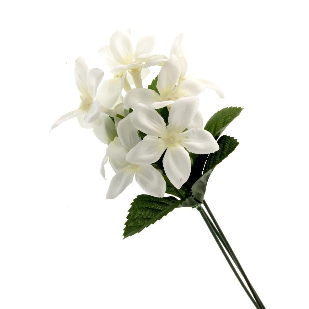 Corsage Creations - Stephanotis Pick - White & Green (30cm Height, 12Stems per pk)