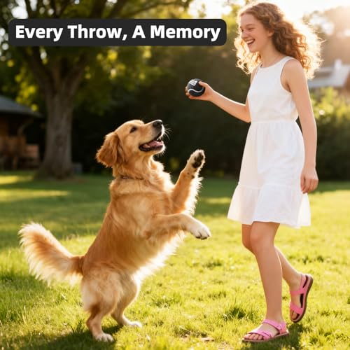 Image of Sunraymascota 6-Pack Tennis Balls for Dogs Fetch Toys,for Beginner Practice