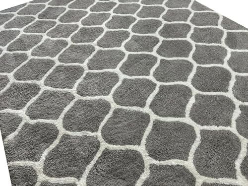 Image of Carpet for Living Room 5X7 FEET Modern Soft Shaggy Carpet Thick, Fluffy & 2 inch Pile Shag Rug for Your Kids Room, Bedroom & Livingroom (Ivory x)