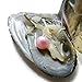 1PC Monster Oyster Freshwater Cultured with 10 Mix Color Round Love Wish Pearls Inside 10 Colors (7-8mm), Valentines Mothers Day Birthday Pearl Wedding Party (total 10 Pearls)