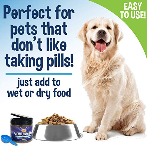 Pet Multivitamin Powder For Dogs And Cats | Minerals Vitamins Antioxidants And Enzymes For Skin Joint Hip Immune Heart And Brain - Garlic Or Garlic Free #TOP6