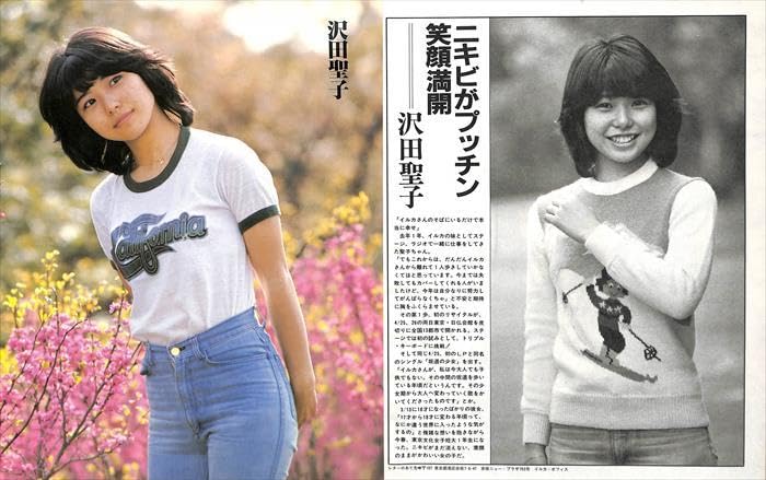 Amazon.co.jp: 沢田聖子 切り抜き 91P＆ピンナップ＆カード 貴重ほぼ