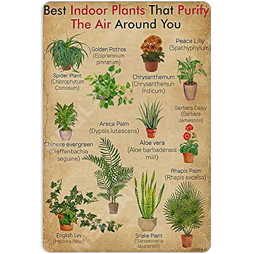 NEGLAI Air-Purifying Plants Metal Sign 8x12 Farmhouse Decor