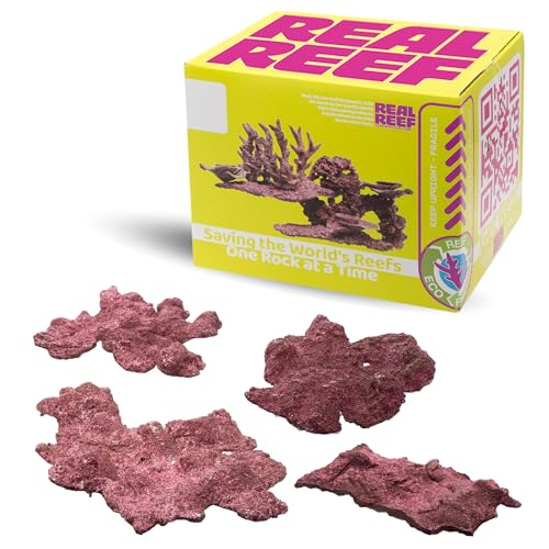 Real Reef Shelf Rock 10 lb Mixed Box - Artificial Live Rock for Saltwater Aquariums Flat Table-Like Reef Rock for Marine Aquascapes & Coral Growth Natural Purple/Pink/Red