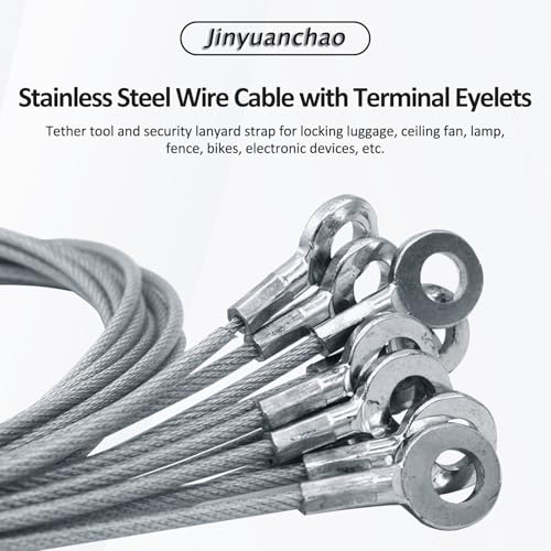 Image of 3mm Stainless Steel Rope tie Rope Safety Hanging Rope, 10 Pieces, 20-inch / 50cm Galvanized Steel Wire Rope, with Terminal Holes, Coated, Anti-Drop Device, Transparent
