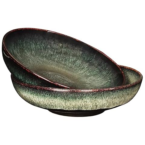 jinsongdafa Soup bowl Soup plate Large Pasta Bowls 56 ounce, Set of 2, Serving,Salad,Dinner,deep Plate/Wide Bowl,Microwave, Oven, Dishwasher Safe Kitchen Dinnerware,Modern Porcelain Dishes 10 inch Cover