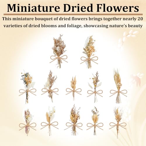 AHANDMAKER flores secas boho 12 piezas 6.69-7.87 in miniatura 3