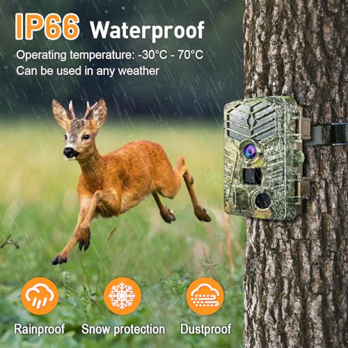Caméra de chasse WiFi 4K Solareye vision nocturne mouvement IP66 - 8