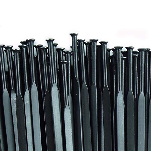 BIKECO Rayons De Vélo avec Mamelon 10PCS VTT Vélo De Route Droit Pull Aero Rayons pour Mavic AKSIUM Ksyrium Equipe CROSSRIDE Cosmic 26 27.5 29 700C Roue de vélo Parle (298mm