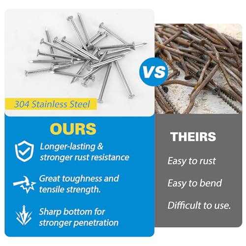 Image of 520PCS Hardware Nails Assortment Kit, 304 Stainless Steel, 6 Sizes, Up to 3 inch Long, with Storage Box Small Nails for Hanging Pictures in Wood, Wall and Drywall