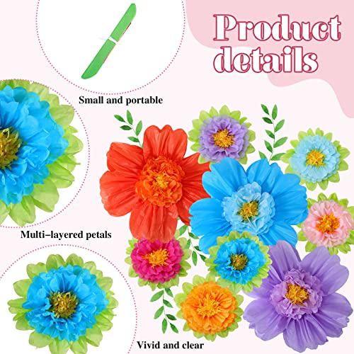 Image of TaoBary 36 Pcs Large Colorful Tissue Paper Flowers 20 inch Giant Fiesta Paper Pom Poms Classroom Wall Decor Birthday Wedding Engagement Backdrop Centerpiece Tea Party Supplies (Rainbow Color)