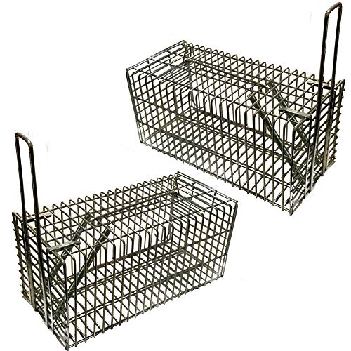 Power-Preise24 proheim Lebendfalle 2er Set 21 cm kompakte Rattenfalle mit 1 Eingang Kleintierfalle aus verzinktem Draht verlässlich, witterungsbeständig und stabil Drahtfalle für Mäuse und Ratten