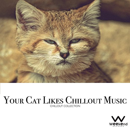 Your Cat Likes Chillout Music Chillout Collection VARIOUS ARTISTS Digital Music