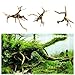Hamiledyi 5.9-7.9in Aquarium Driftwood 3PCS Reptile Spider Wood Assorted Branches Natural Trunk Driftwood Tree Fish Tank Decoration