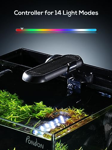 Pondon 5 Gallon Fish Tank, Low Iron Rimless Glass Aquarium Starter Kits With Backpack Partitioned Filtration thumb #5