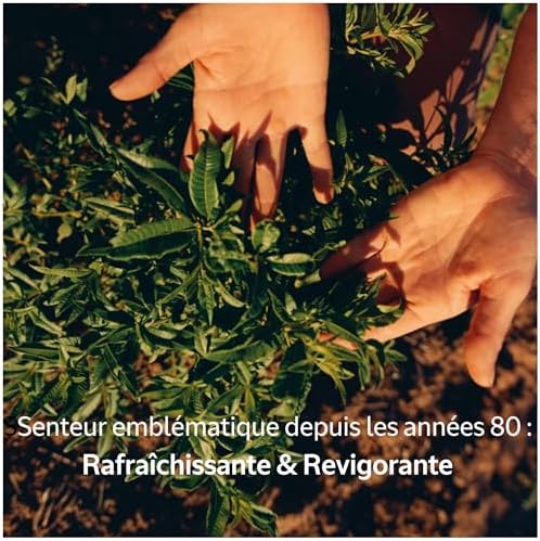 L'Occitane en Provence - Zestaw do ciała Verbena