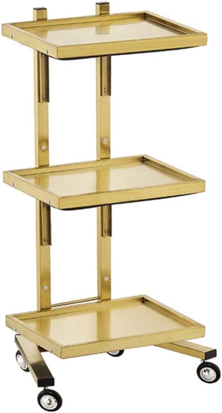 Medical Trolley Cart Foldable Hairdressing Trolley Assembled Beauty Trolley Stainless Steel 3-Layer Special Tool Cart Easy to Move Surface Drawing Process (Silver)