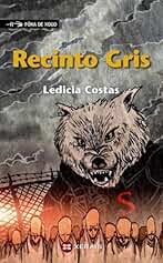 Recinto Gris (INFANTIL E XUVENIL - FÓRA DE XOGO)