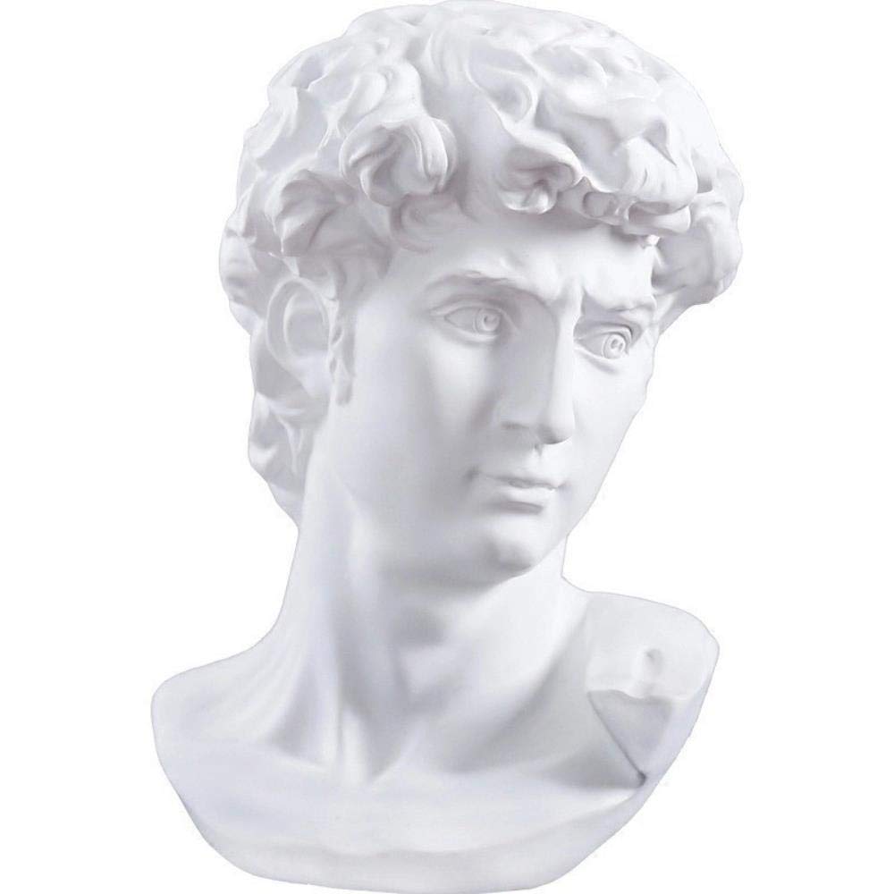 DAYUZH Home Decoration Crafts，15Cm David Statue Head Portraits Mini Gypsum Michelangelo Home Decoration Resin Art Craft Sketch Practice Room Decor Sculpture, Shows