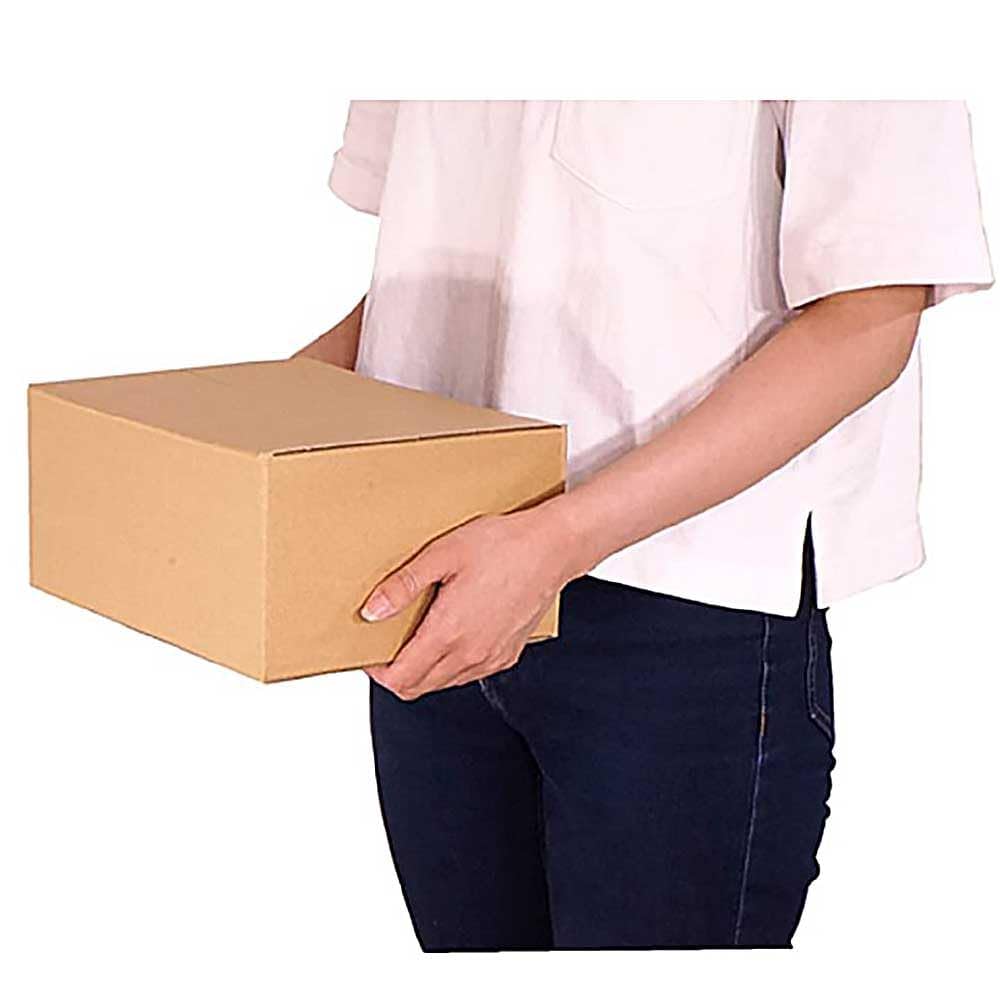 サティスDY-S615 梱包の段ボールは雨で濡れていますが商品は新品です Amazon | ディズプラス(Diz+) 日本製 ダンボール 60サイズ 5枚