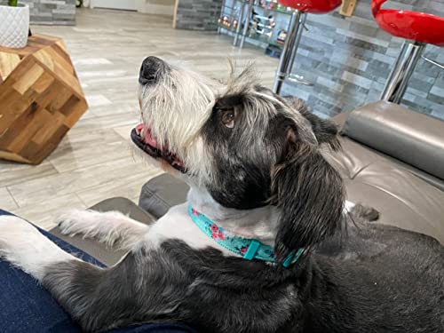 Yudote Martingale Dog Collars With Quick Snap Buckle In Floral Print Flower Nylon No Pull Collars For Female Male Large Dogs, Green #TOP5