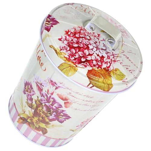 TIDTALEO Cookie Box Large Capacity with Lid and Flower Pattern, Airtight Tin Biscuit Jar for Kitchen and Living Room Storage and Organisation