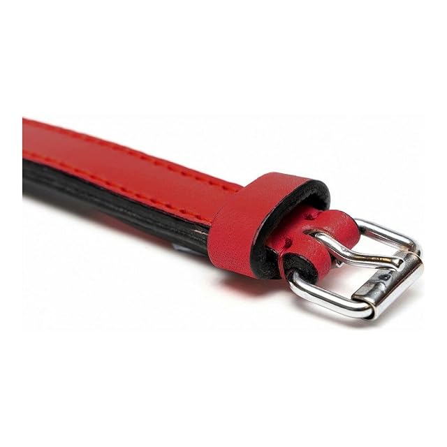 Foto 4 de 7 de GLORIA Collar Piel Acolchado 55CM X 25MM Rojo