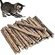 tekenewbse 32 Stück Katzenminze Stick, Katzen Zahnpflege Sticks Matatabi Stick Katze Kausticks Spielzeug, Kauhölzer Sticks für Zahnpflege & Gegen Mundgeruch, Katzenminze Sticks zum Schleifen Zähnen