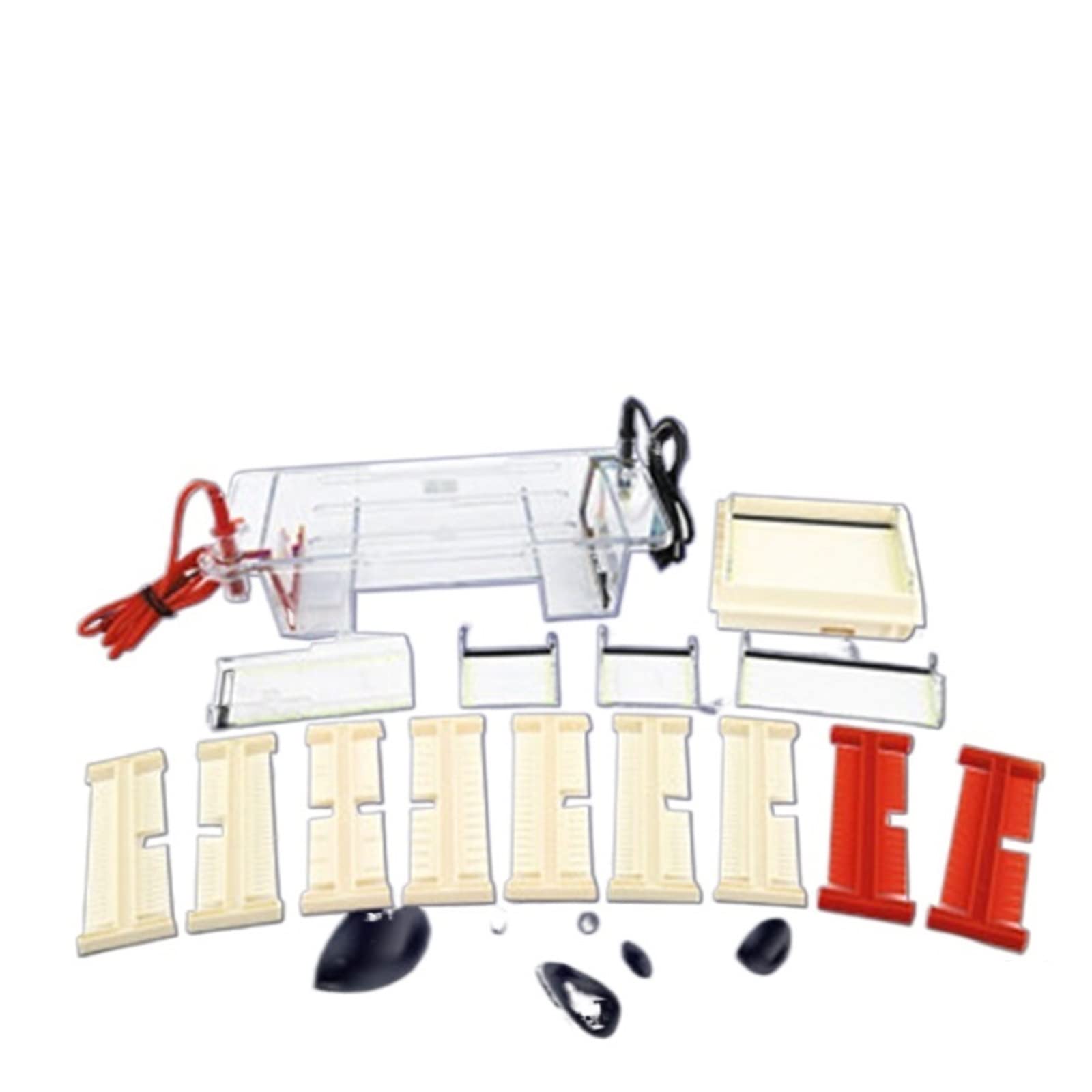 Elektrophoresegerät, DYCP-31CN Agarose Horizontales Elektrophorese-Instrument Protein-Gel-Elektrophorese-Tank-Netzteil für gängige Proteine