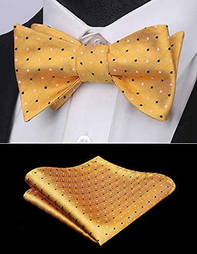 Image of HISDERN Bow Ties for Men Polka Dot Selftie Bowtie and Pocket Square Classic Business Tuxedo Wedding Bowties Handkerchief