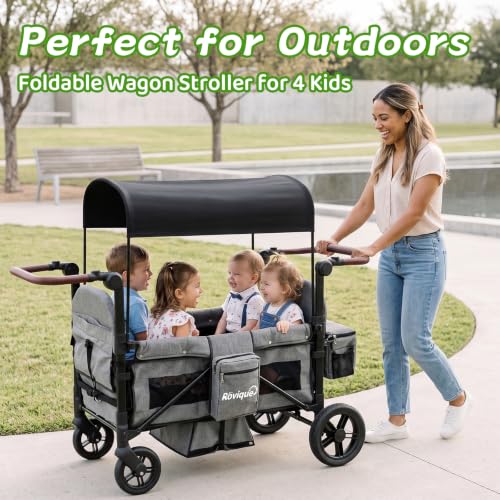 Rovique 4 Seater Aluminum Wagon