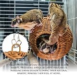 NEOUZA Torba na szybowiec cukrowy metalowa rama PP rattan trwały wodoodporny nietoksyczny bezpieczny materiał klatka dla zwierząt torba do spania dla małych zwierząt wiewiórki marmozety szczury