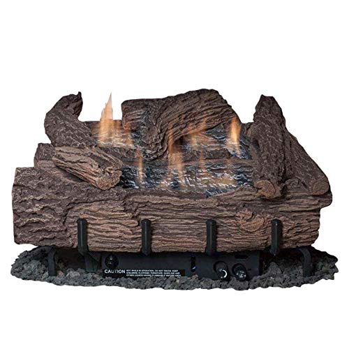 Amazon.com: Ever Warm 24 Inch Palmetto Oak 6-Piece Log Set u0026 NG Millivolt  Control Burner : Home u0026 Kitchen
