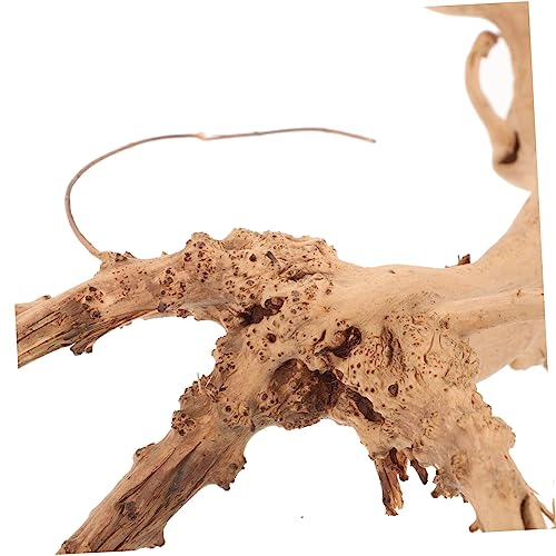 Bois Naturel pour Aquarium : 4 Décorations Uniques pour Terrarium et Poissons - 5