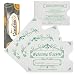 Keycard Envelope / Sleeve " Welcome Guests" 2-3/8" x 3-1/2" 500CT (Green,)